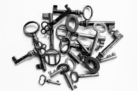 Keys. The German for "keys" is "Schlüssel".