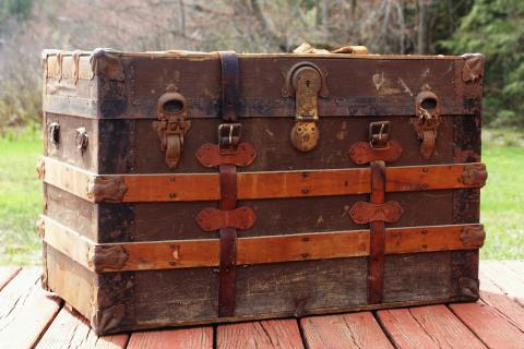 Trunk. The Greek for "trunk" is "κορμός".