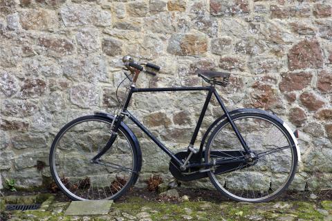 The bicycle. The Greek for "the bicycle" is "το ποδήλατο".