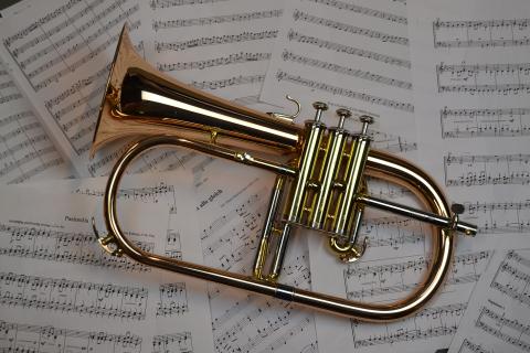 Trumpet. The Greek for "trumpet" is "τρομπέτα".