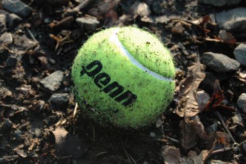 Convince. The Greek for "convince" is "πείθω".