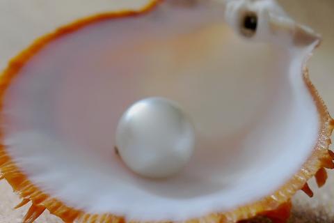 Pearl. The Greek for "pearl" is "μαργαριτάρι".