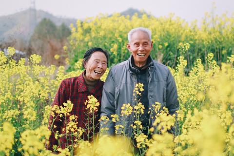 Grandparent; elder. The Hawaiian for "grandparent; elder" is "kupuna".