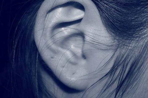 Ear. The Hindi for "ear" is "कान".