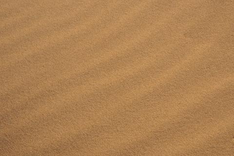 Sand. The Hindi for "sand" is "रेत".