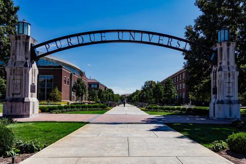 University. The Hindi for "university" is "विश्वविद्यालय".