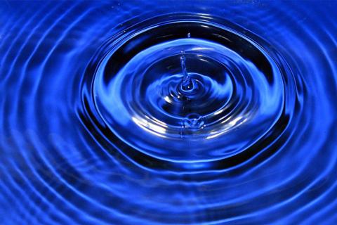 The wave. The Italian for "the wave" is "l’onda".