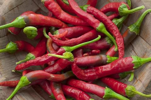 Spicy. The Italian for "spicy" is "piccante".