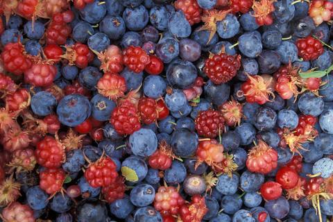 Berry. The Pandunia for "berry" is "beri".