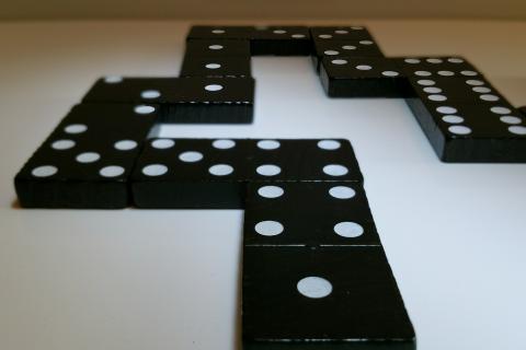 Dominoes. The Pandunia for "dominoes" is "domino".