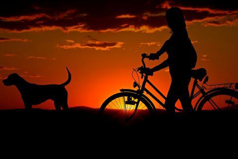 Evening. The Pandunia for "evening" is "sham".