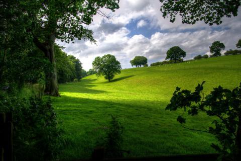 Nature. The Pandunia for "nature" is "eko".