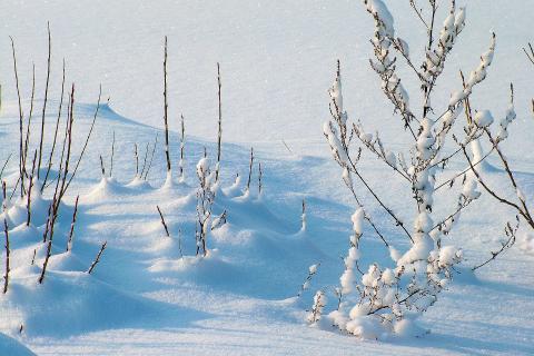 Cold. The Polish for "cold" is "zimno".