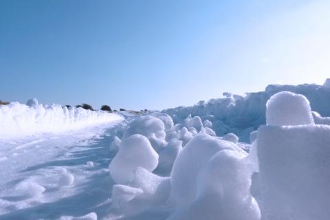 January. The Portuguese for "January" is "Janeiro".