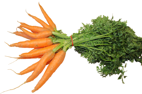 Carrots. The Portuguese for "carrots" is "cenouras".