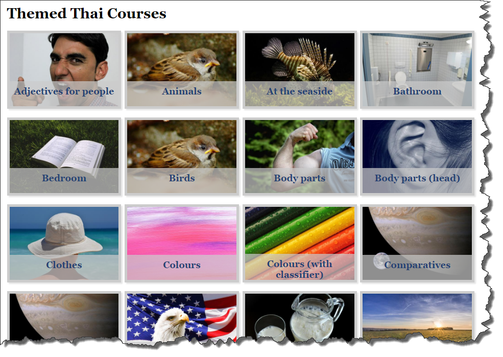 courses layout now