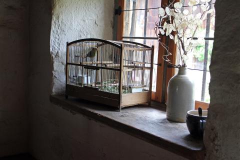 Cage. The Spanish for "cage" is "jaula". Cage. The Spanish for "cage" is "jaula".