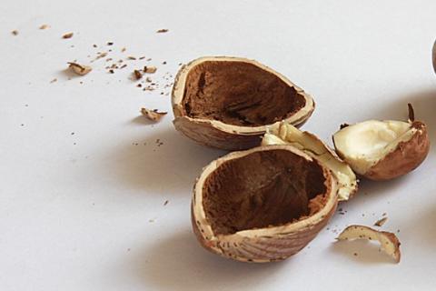 Nutshell. The Spanish for "nutshell" is "cáscara de nuez".