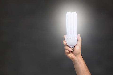 The light. The Telugu for "the light" is "వెలుగు".