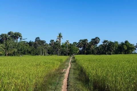 Rice field (short form). The Thai for "rice field (short form)" is "นา".