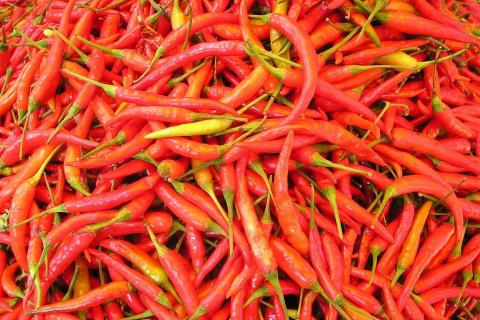 Chili pepper. The Thai for "chili pepper" is "พริก".