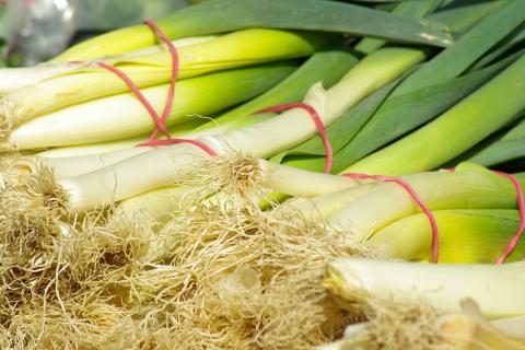 Leek. The Thai for "leek" is "ต้นหอม".