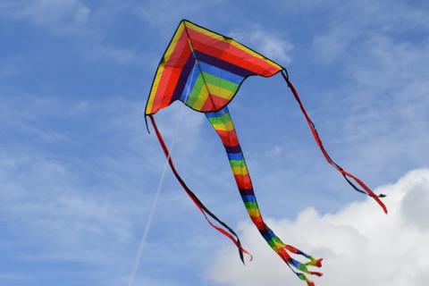 Kite. The Thai for "kite" is "ว่าว".