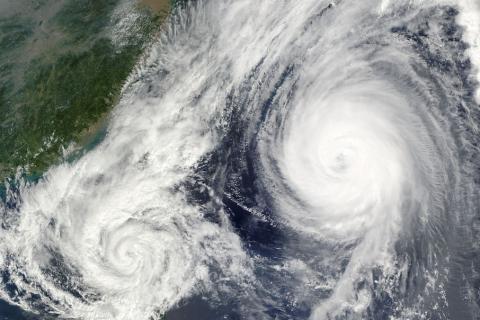 Typhoon. The Thai for "typhoon" is "ไต้ฝุ่น".