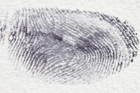 Fingerprint. The Thai for "fingerprint" is "รอยนิ้วมือ".