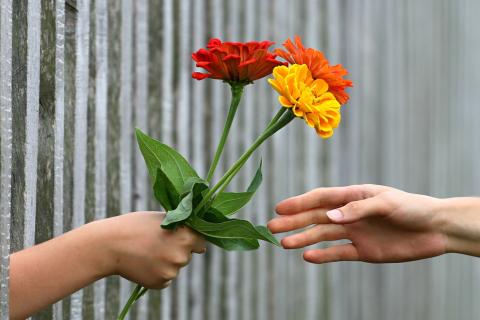 To give. The Thai for "to give" is "มอบ". To give. The Thai for "to give" is "มอบ".