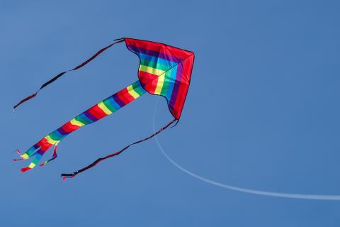 Kite. The Thai for "kite" is "จุฬา".