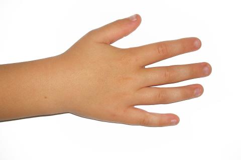 Right hand. The Thai for "right hand" is "มือขวา". Right hand. The Thai for "right hand" is "มือขวา".