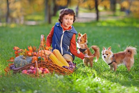 A boy and two dogs. The Thai for "a boy and two dogs" is "เด็กผู้ชายและสุนัขสองตัว".