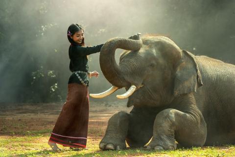 A woman and an elephant. The Thai for "a woman and an elephant" is "ผู้หญิงและช้าง".