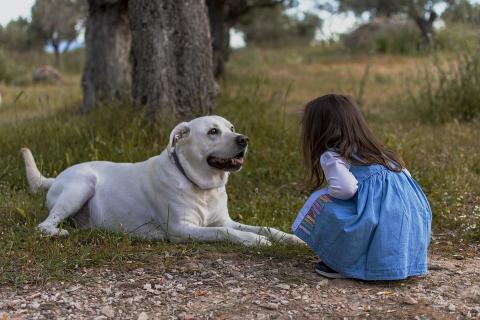 A dog and a girl. The Thai for "a dog and a girl" is "สุนัขและเด็กผู้หญิง". A dog and a girl. The Thai for "a dog and a girl" is "สุนัขและเด็กผู้หญิง".