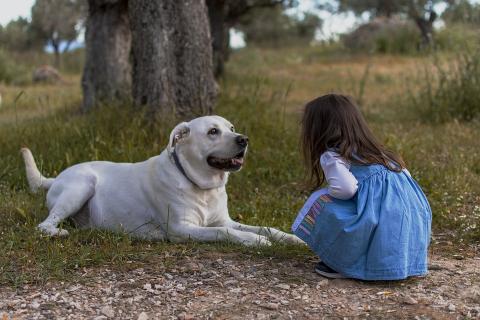 A dog and a girl. The Thai for "a dog and a girl" is "สุนัขและเด็กผู้หญิง".