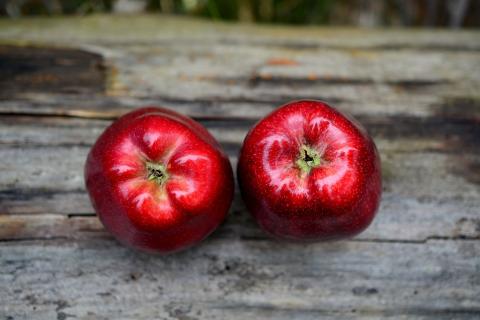 Two red apples. The Thai for "two red apples" is "แอปเปิ้ลแดงสองลูก".