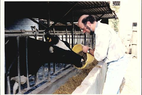 A farmer and a cow. The Thai for "a farmer and a cow" is "เกษตรกรและวัว".