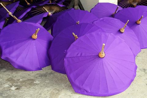 Many purple umbrellas. The Thai for "many purple umbrellas" is "ร่มสีม่วงหลายคัน".
