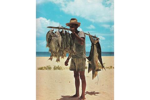 A fisherman and many fish. The Thai for "a fisherman and many fish" is "ชาวประมงและปลาหลายตัว". A fisherman and many fish. The Thai for "a fisherman and many fish" is "ชาวประมงและปลาหลายตัว".