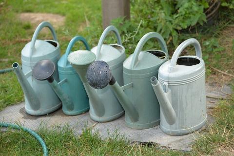 Five watering cans. The Thai for "five watering cans" is "บัวรดน้ำห้าอัน".