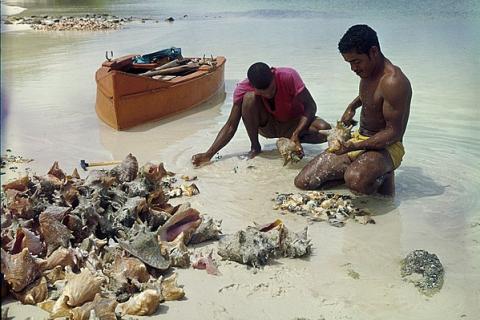 Two fishermen. The Thai for "two fishermen" is "ชาวประมงสองคน".