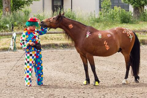 A clown and a horse. The Thai for "a clown and a horse" is "ตัวตลกและม้า".