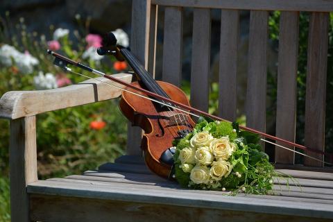 A violin and a bouquet of white roses. The Thai for "a violin and a bouquet of white roses" is "ไวโอลินและช่อกุหลาบสีขาว".