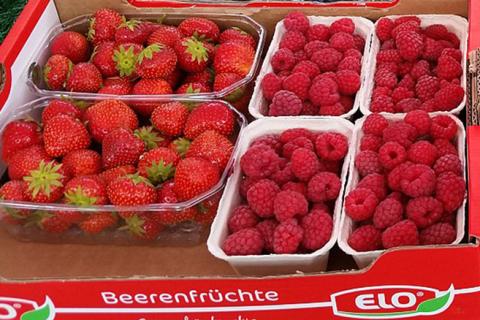 Red fruits. The Thai for "red fruits" is "ผลไม้สีแดง". Red fruits. The Thai for "red fruits" is "ผลไม้สีแดง".
