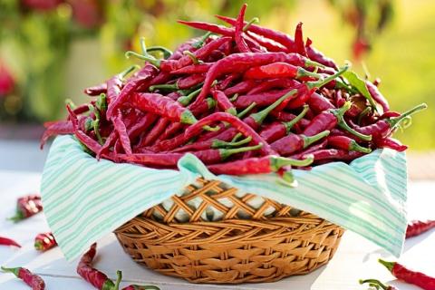 A basket of chili peppers. The Thai for "a basket of chili peppers" is "พริกหนึ่งตะกร้า".