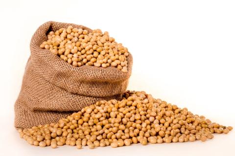 Soybean. The Thai for "soybean" is "ถั่วเหลือง".