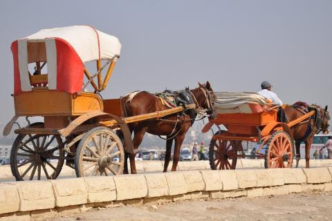 Two horse carriages. The Thai for "two horse carriages" is "รถม้าสองขบวน".