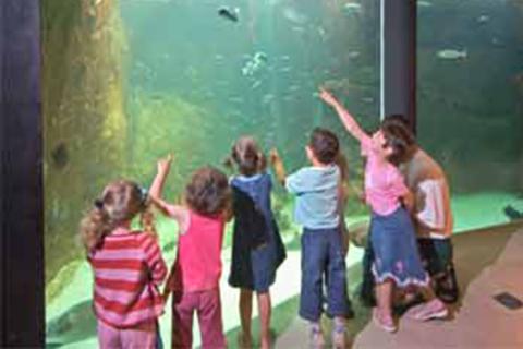 Kids and an aquarium. The Thai for "kids and an aquarium" is "เด็กๆและตู้ปลา".