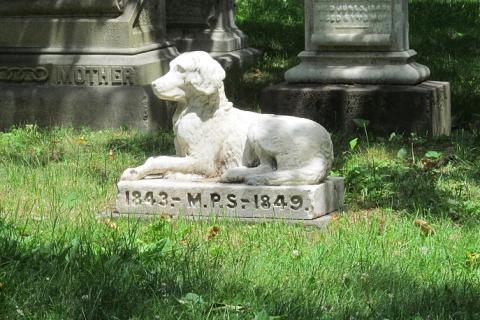 A dog statue. The Thai for "a dog statue" is "รูปปั้นสุนัข".